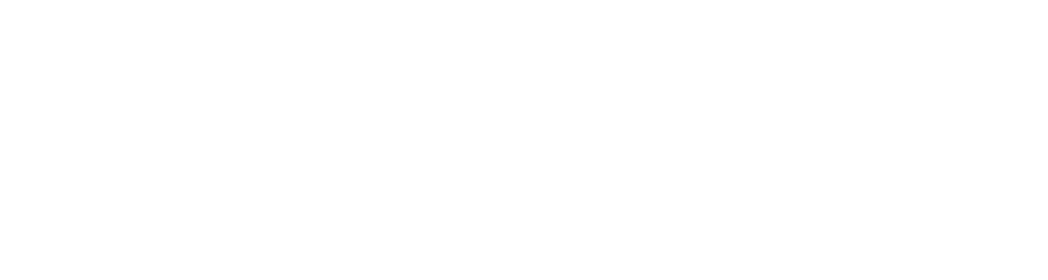 NIVA HQ Logo